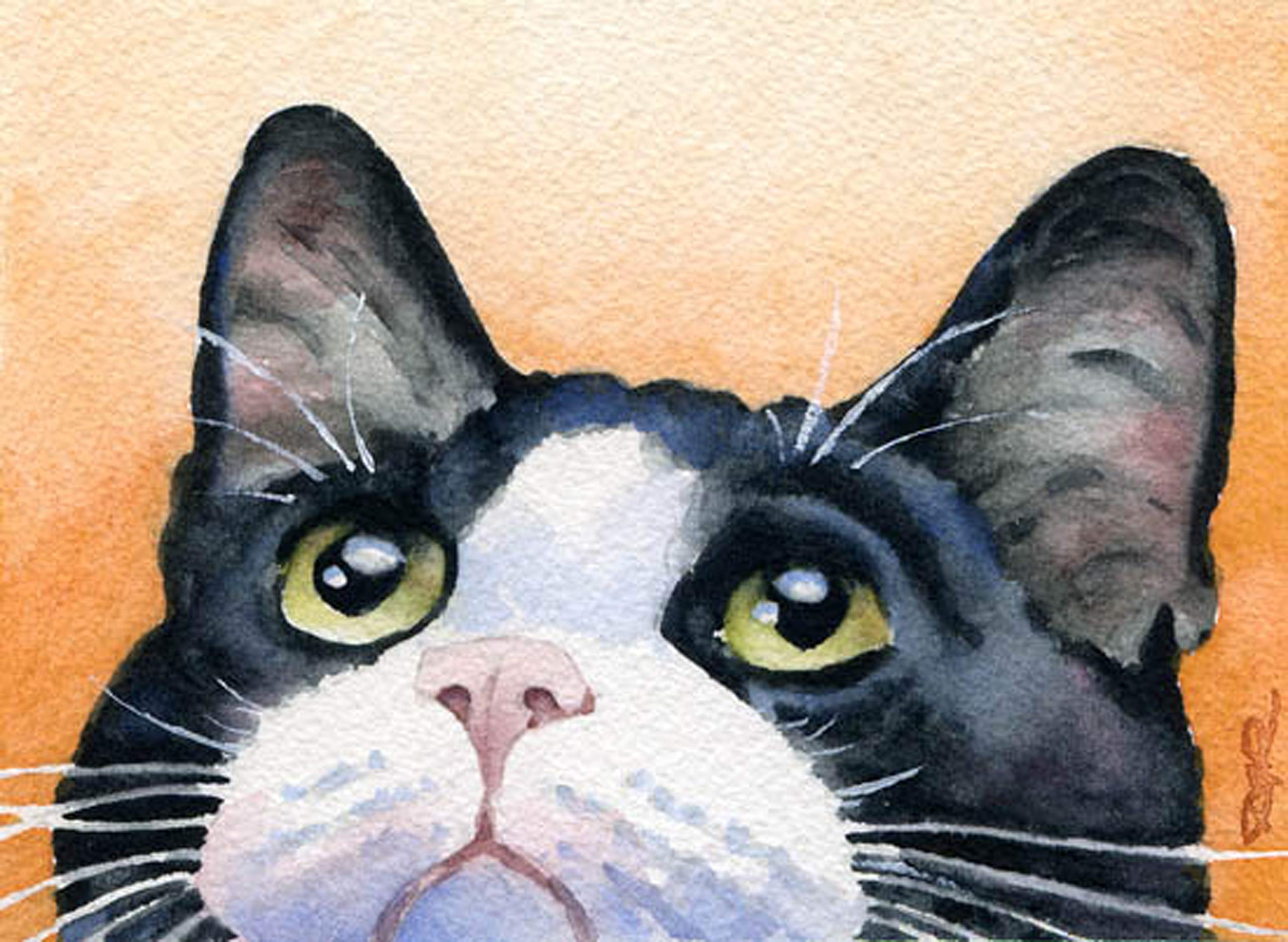 Amazon.com: Tuxedo Cat Art Print by Watercolor Artist DJ Rogers